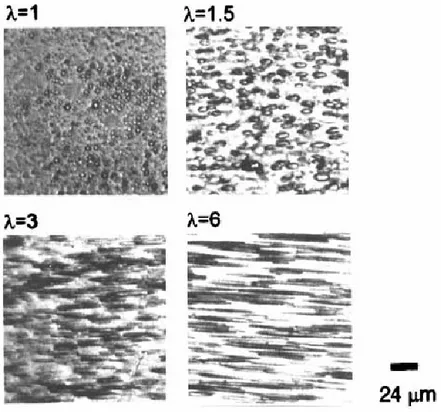 Figure 4. Optical photomicrographs of films of polymer dispersed liquid crystals of 4’-octyl-4- 4’-octyl-4-biphenyl-carbonitrile (8CB) in poly(acry1ic acid) (PAA) with a molar ratio = 0.7/0.3, measured at  room temperature under mechanical stress at differ