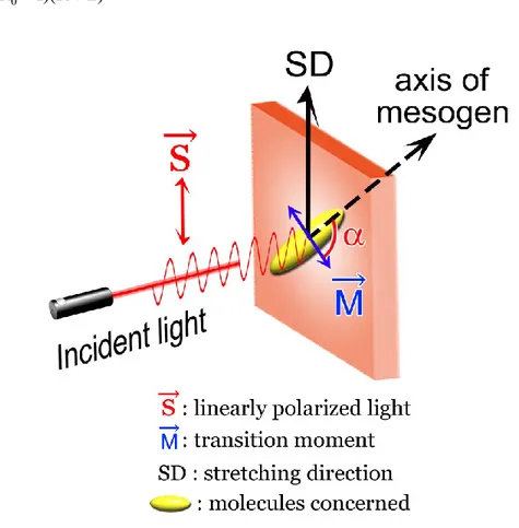 Figure  1-2.  Schematic  illustration  of  the  typical  experimental  procedure  for  measuring  the  orientation of the molecules concerned (mesogens or main chain segments)