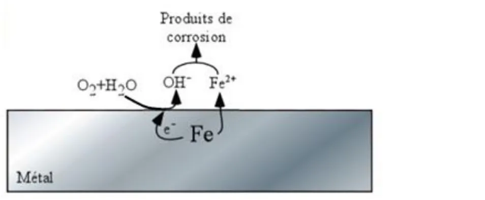 Figure 1.1. Schéma du mécanisme de corrosion de l’acier dans le milieu atmosphérique. 