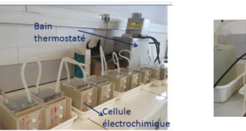 Figure 2.13. Cellules électrochimiques. 1 : électrode de travail,   2 : électrode de platine, 3 : électrode au calomel saturé