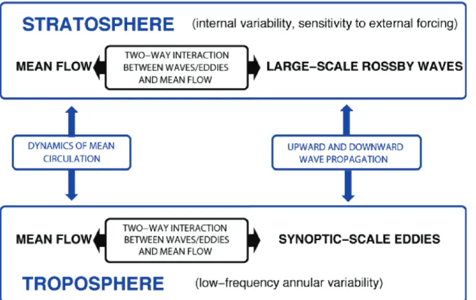 Figure 7: Schéma synthétique du couplage troposphère-stratosphère et des mécanismes dynamiques associés (d’après la newsletter SPARC n°25).