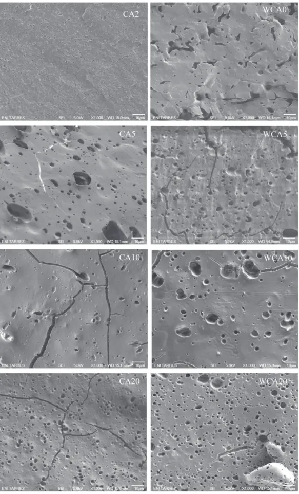 Fig. 3. SEM images of the fractured section after PLA etching for the different blends (magnification 1000×, left: blends without water and right: blends extruded with extra water).