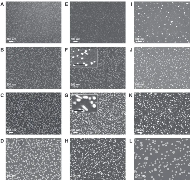 Fig. 4. FEG-SEM images of AuNPs-GC electrodes prepared from a deaerated 0.1 M NaNO 3 solution containing 0.25 mM HAuCl 4 using CA (A, B, C, D), PDP (E, F, G, H) and CV (I, J, K, L)