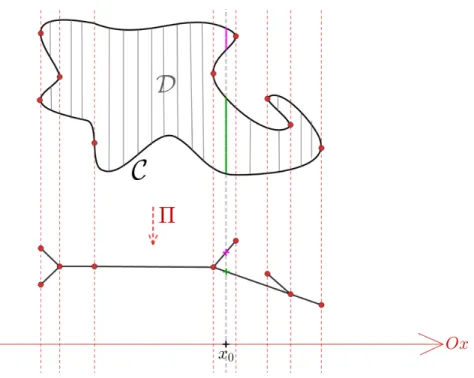 Figure 17: Le graphe de Poincaré-Reeb d’une composante connexe compacte et lisse C d’une courbe algébrique réelle contenue dans le plan R 2 .