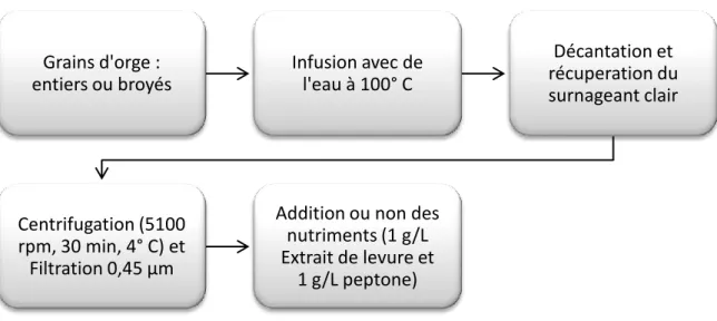 Figure 16. Schéma général de la préparation des milieux à base d’orge. 