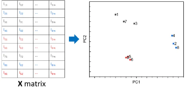 Figure 2.6. The scores plot from the PCA model built from the data matrix. The samples  formed 3 clusters (grey, blue and red colors in the graph and data matrix, respectively)