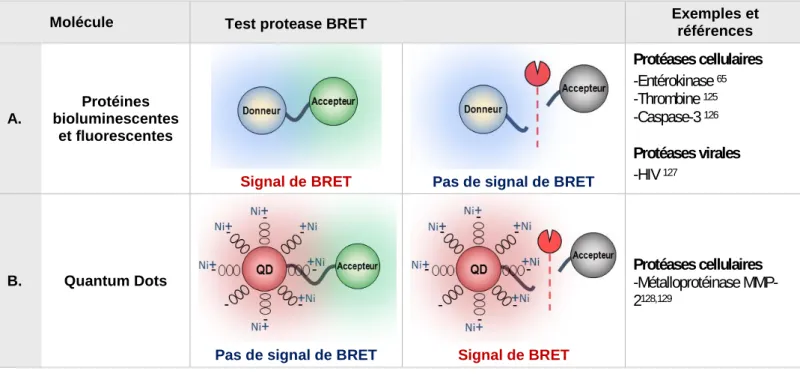 Figure 23 : Exemple de différents tests protéase appliqués à la technique de BRET