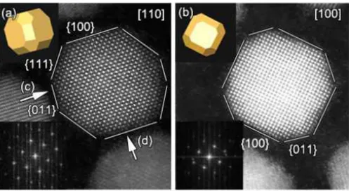 Figure 1.4 – Images HAADF-STEM d’un nanocristal PbSe. La direction perpendicu- perpendicu-laire au plan est (a) [110] et (b)[100]