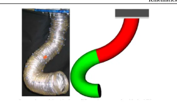 Figure 2.16: Comparison of the Air-Octor continuum trunk with the NURBS-based model [Jones 2006]