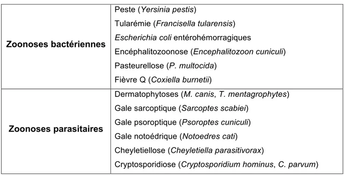 Tableau 8 : Principales zoonoses transmises par les lagomorphes (adapté du (28)). 
