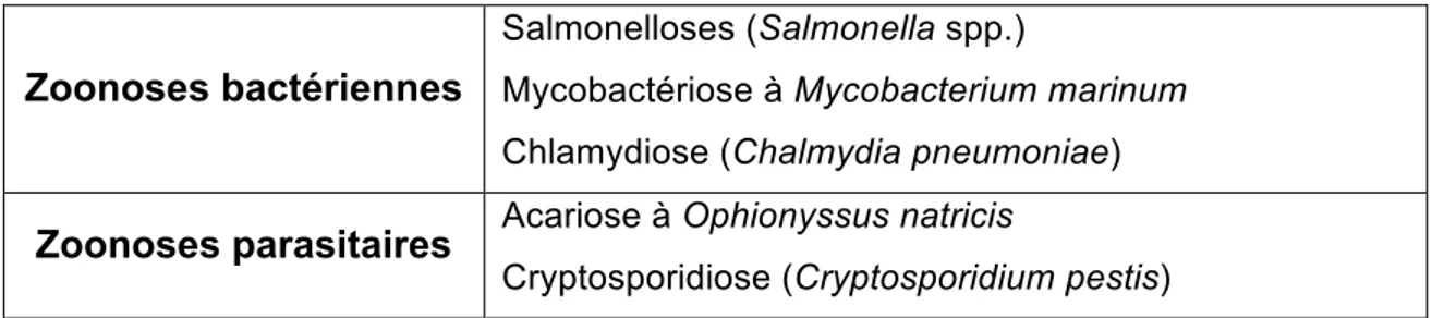 Tableau 10 : Principales zoonoses transmissibles par les reptiles. 