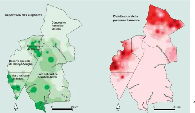 Figure 2 : Comparaison entre la distribution des éléphants et la densité humaine ( PFBC, 2005 )  
