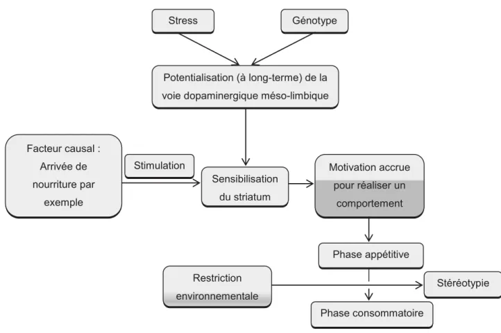 Figure 6 : les causes du développement de stéréotypies. D’après McBride et Hemmings (2009)