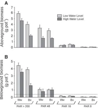 Fig. 4 Aboveground (A) and belowground (B) biomass pro- pro-duced by Urtica dioica during the experiment for each selected PAR level, according to soil type and water level