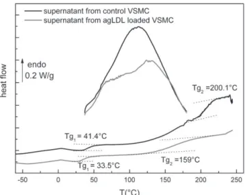 FIGURE 7 Second DSC thermograms of purified supernatants from control and agLDL-loaded VSMCs.