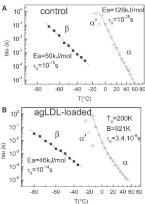 FIGURE 9 Temperature dependence of the three dipolar modes of puri- puri-fied supernatant from control VSMCs (A) and agLDL-loaded VSMCs (B).