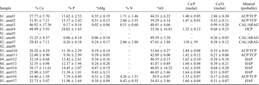 Table 4. EDX analysis of mineral clusters found in anaerobic and aerobic granules (average values from at least seven analyses for each granule): elemental composition (percentage in mass), molar ratios, most probable solid phase.