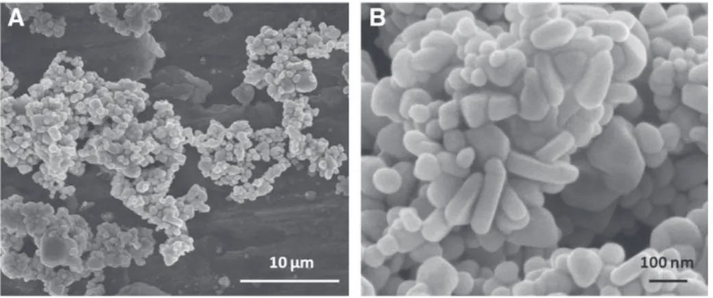 Fig. 1 shows the 100 nm particles provided by Sigma-Aldrich observed by SEM. At high magniﬁcation (B) the observation conﬁrms the narrow distribution in diameter around 100 nm