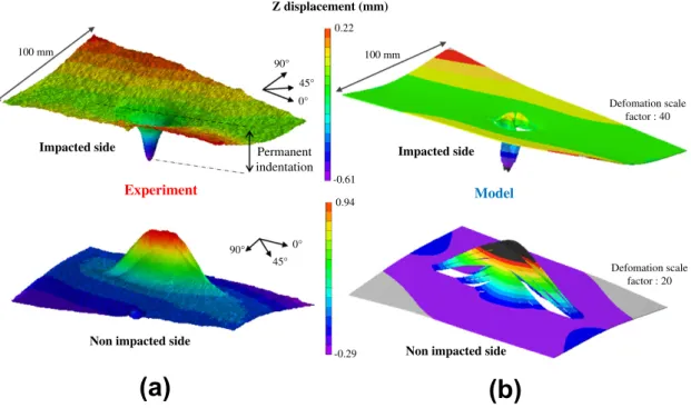 Fig. 15. Deformed shape of the plate after a 25 J impact: experimental (a) and numerical (b) results.