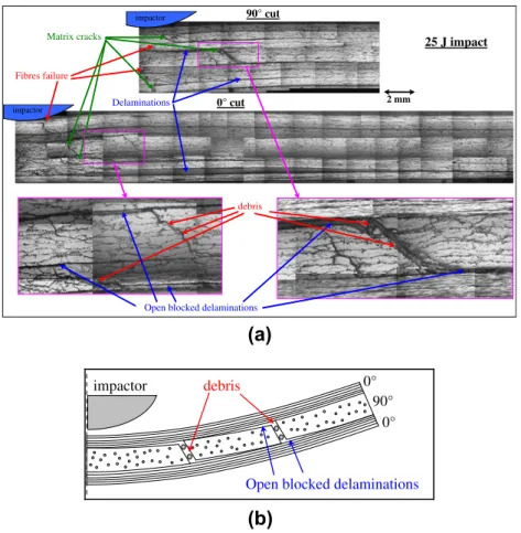 Fig. 2. Micrographic cuts after 25 J impact (a) and the principle of creation of permanent indentation (b).