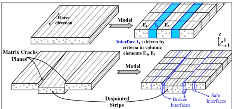 Fig. 4. Model of the ply with longitudinal strips.