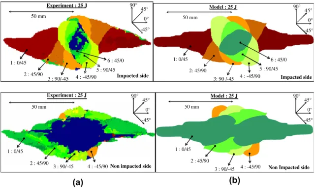 Fig. 10. Comparison between delaminated interfaces obtained experimentally (a) and numerically (b) after a 25-J impact test.