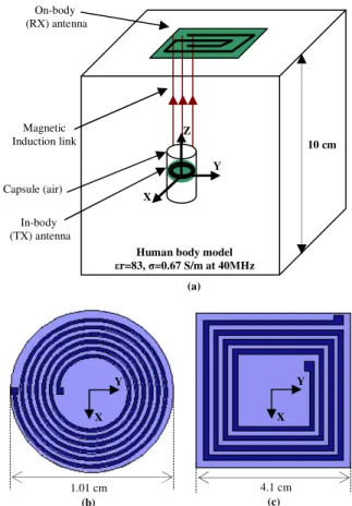 Figure 1.   a. Magnetic induction link through the human body, b. spiral TX  coil antenna geometry, c