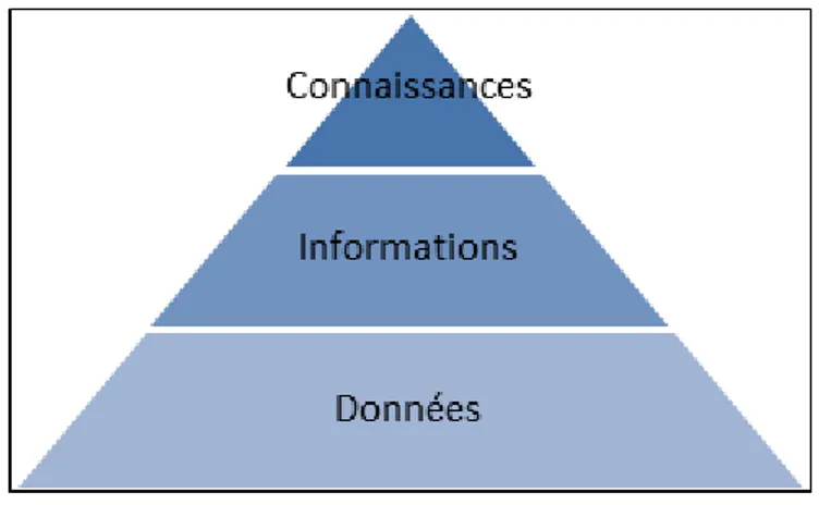 Figure 1: Pyramide de la donnée 