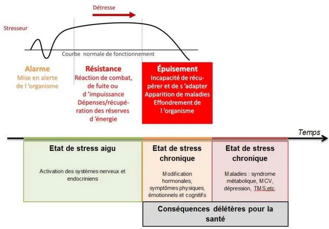 Figure 5: Stress et pathologies 