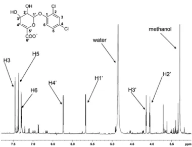 Figure 4. 600 MHz 1 H NMR spectrum in CD 3 OD of the dehydrated glucuronide metabolite (c) isolated from 0−24 h urine collected from rats treated with either [ 14 C]-DCP, [ 14 C]-DCP-(acetyl)glucose, [ 14  C]-soluble residues, or [ 14 C]-total residues.