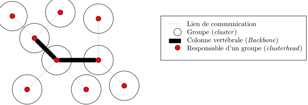 Figure 1.6 – Topologie hi´ erarchique de type colonne vert´ebrale au sein d’un r´eseau MANET