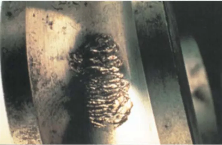 Figure 1-11 : Effets sur les pistes de roulements de contaminations du lubrifiant [42] 