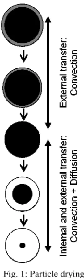 Fig. 3: pores size distribution of PVC’s particle According to the  nature of PVC’s particles elementary mechanism can be