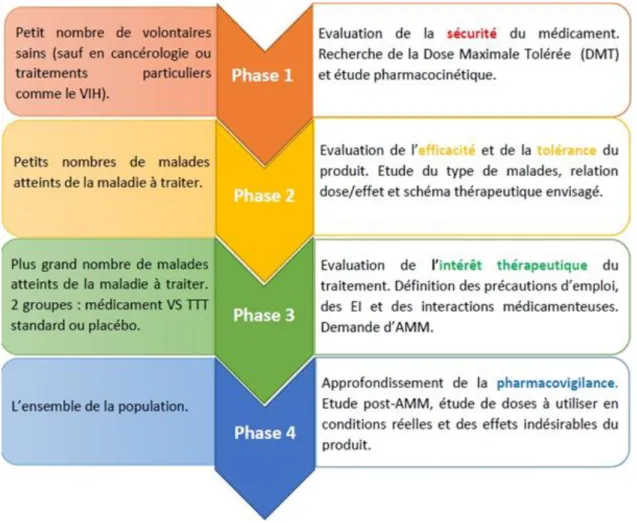 Figure 14: Les quatre phases de la recherche clinique, Héloïse CARTIAUX, 2015 