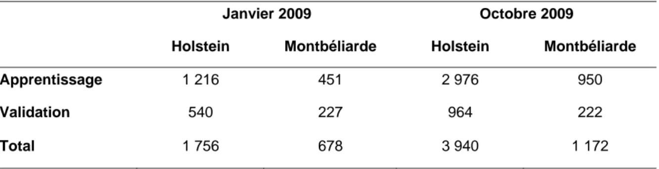 Tableau 3.2 : Nombres de taureaux génotypés et phénotypés par population étudiée  Janvier 2009  Octobre 2009 