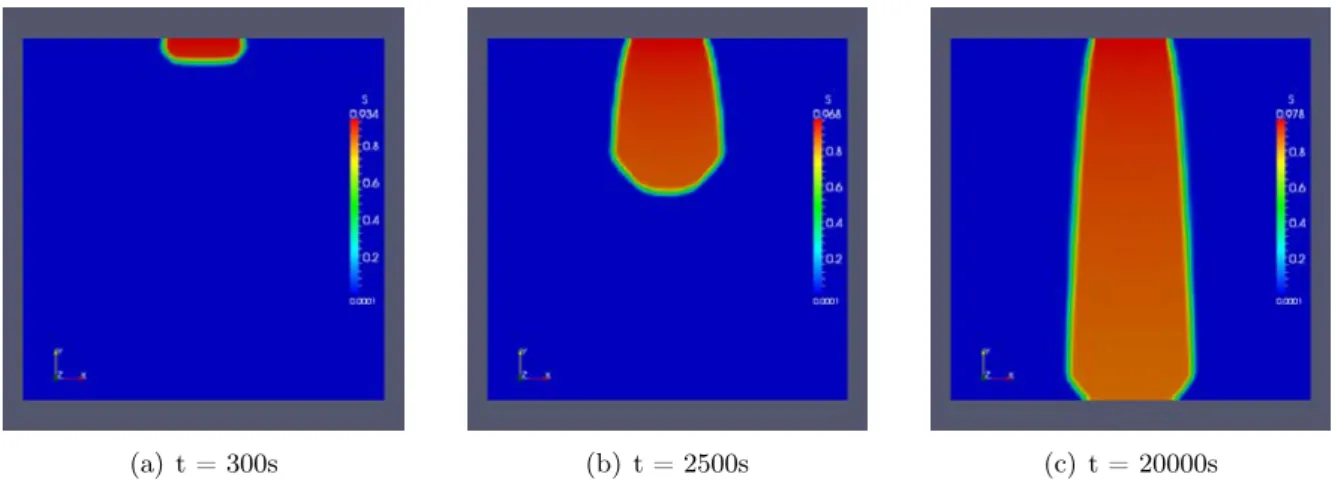 Figure 4.2: Exemple d’écoulement piston dans un milieu poreux isotrope (K = 10 − 11 m 2 ) de dimension 1m ∗ 1m
