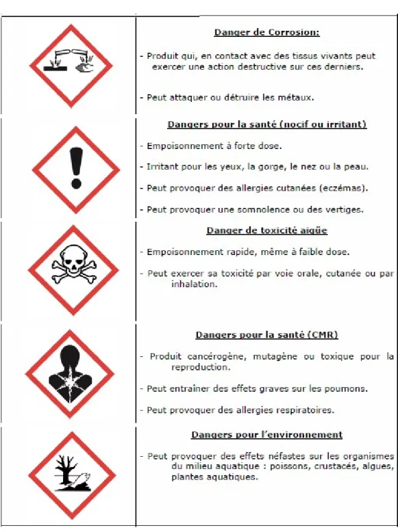 Figure 3 : Récapitulatif des nouveaux pictogrammes de danger utilisés (10) 