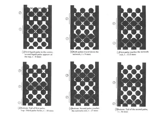 Figure I.8 – S´ equence de r´ egime puls´ e simul´ e par le mod` ele r´ eseau de Melli and Scriven (1991)