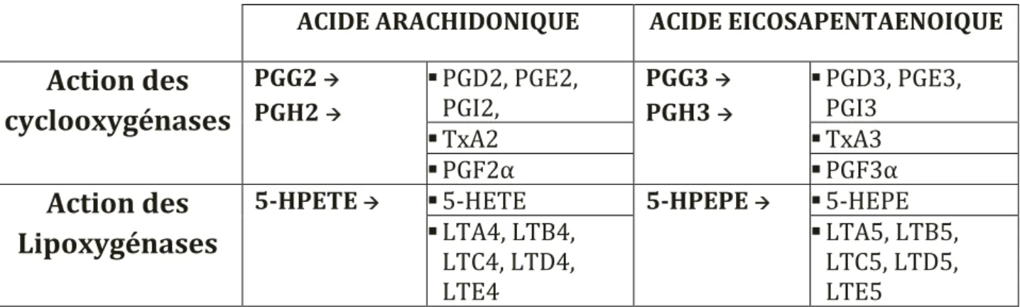 Tableau 1 : Comparaison des éicosanoïdes synthétisés à partir de l’acide arachidonique et  de l’EPA  selon l’enzyme réalisant la transformation 