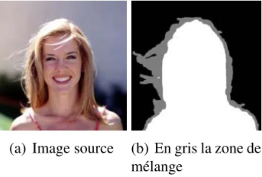 Figure 1.18 – Visualisation d’une zone de mélange entre le fond et les cheveux.