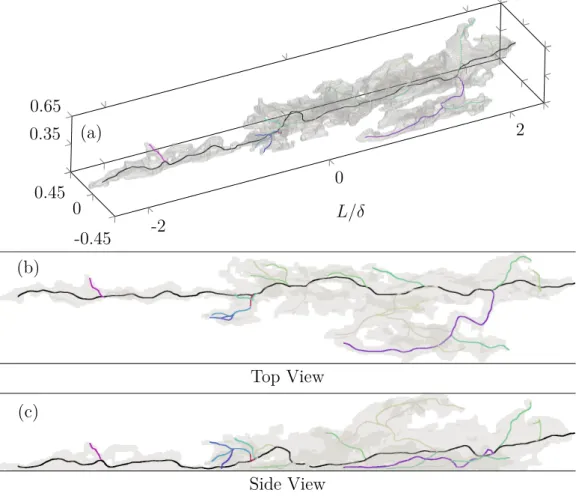 Figure 4.5 – The skeleton of a single structure. The black curve represents the longest curve (referred as the main curve), and colorful curves are the branches.(a) Isometric, (b) top and (c) side views of the geometry.