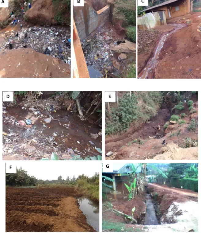 Figure 2 : Quelques vues de potentielles sources de pollution des cours d’eau dans la                     région de Bafoussam