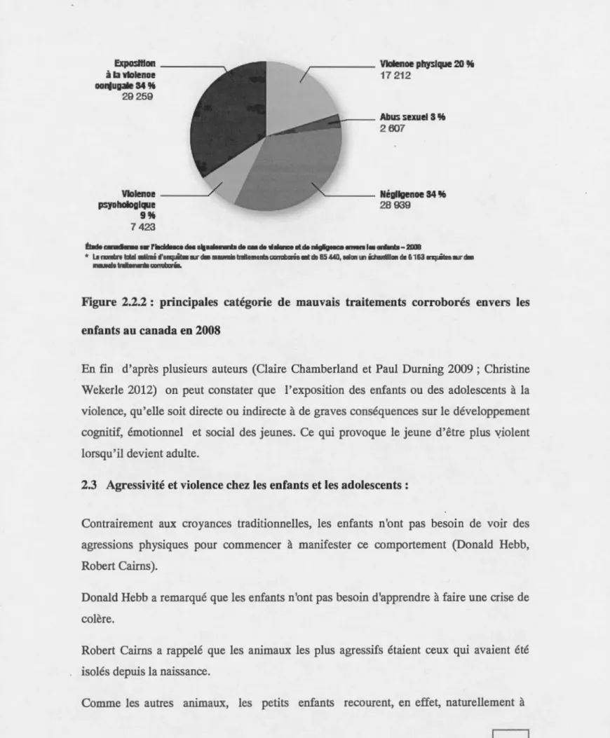 Figure  2.2.2 :  principales  catégorie  de  mauvais  traitements  corroborés  envers  les  enfants au canada en 2008 