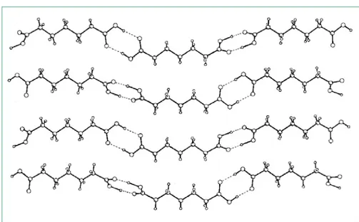 Figure 1-7 : Structure des couches de la forme α du diacide à 7 atomes de carbone  [12] 