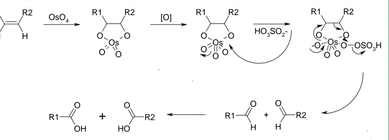 Figure 1-41 : Hypothèse de mécanisme avec le tétroxyde d’osmium et en présence d’oxone  [101] 