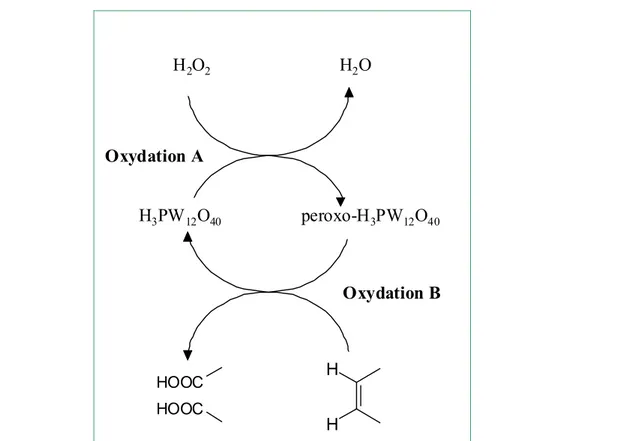Figure 1-45 : Cycle catalytique pour le clivage oxydatif d’un alcène avec l’acide tungstophosphorique et l’eau  oxygénée