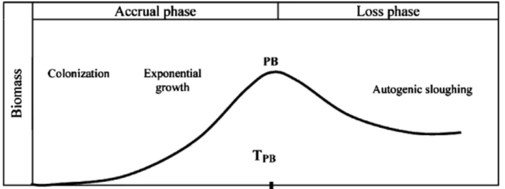 Fig. 1. An idealized benthic algal accrual curve with different phases shown. PB (peak of biomass) is the maximum accrual cycle biomass and TPB is the time to PB from commencement of colonization [2].