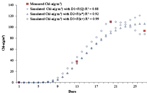 Fig. 2. Comparison of measured Chl-a (g/m 2 ) and simulated values (Run1, Q = 7.5 l/s) with the three equations (D1, D2, and D3) for detachment: D1 ¼ C det QB (R 2 = 0.88), D2 ¼ C 0 det u  B (R 2 = 0.92), and D3 ¼ C 00 det k þ B (R 2 = 0.99).