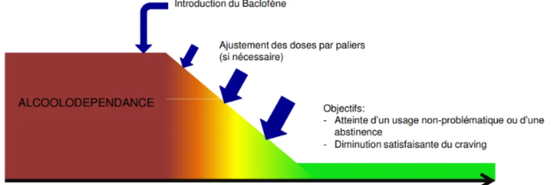 Figure 10 : Stratégie 2 – Aide à la réduction progressive de consommation 