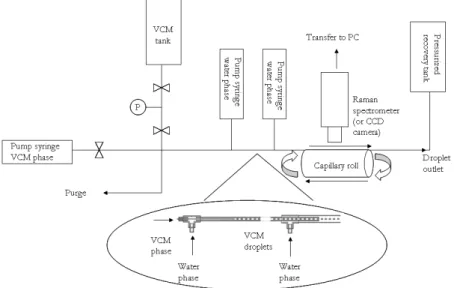 Figure 1.  Experimental set-up used for the vinyl chloride polymerization at microscale